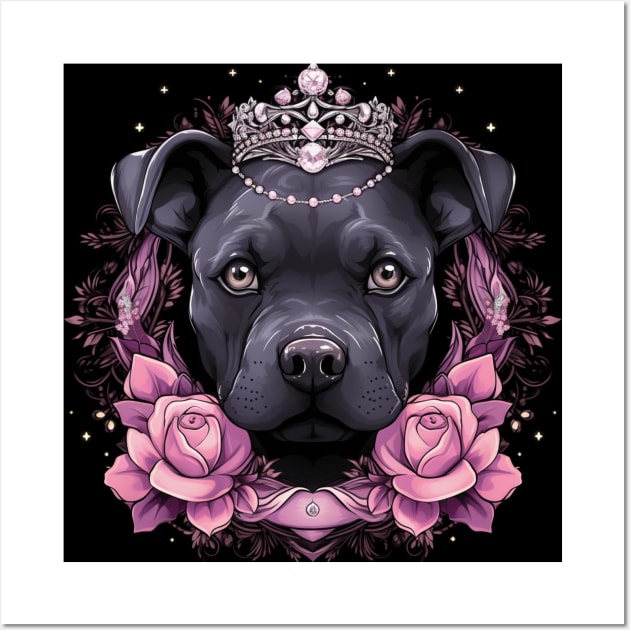 Blue nose staffy 2025